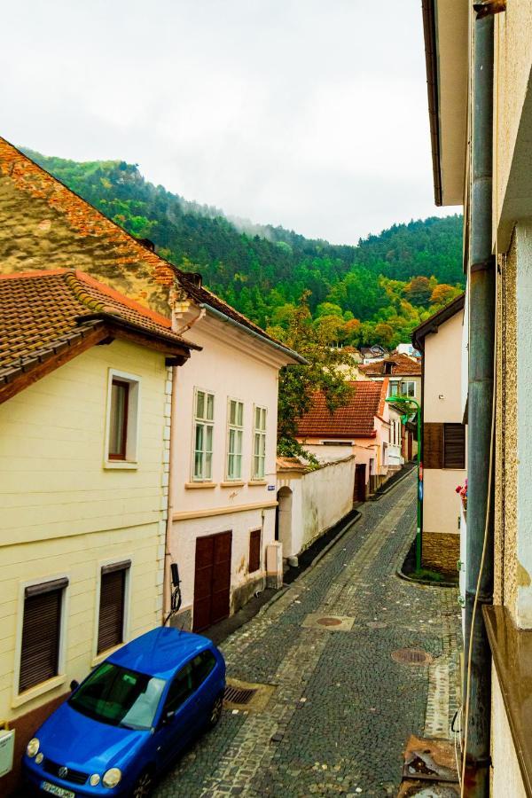 Ardor Apt - Bright And Secluded Apartment In The Heart Of Old Town Braşov Eksteriør billede